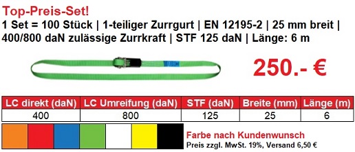 einteiliger Zurrgurt Set 800 kg Länge 6 m