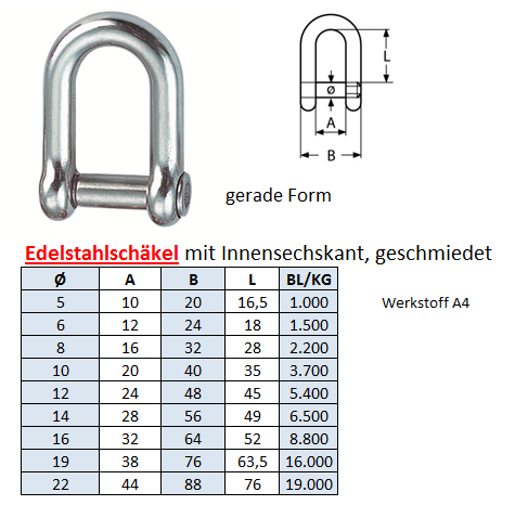 Schäkel gerade, Innensechskant